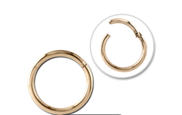 ZIRCON GOLD PVD COATED SURGICAL STEEL GRADE 316L HINGED SEGMENT RING-JEWELRY